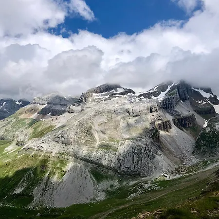 Lirios, Pirineo Aragones Borau