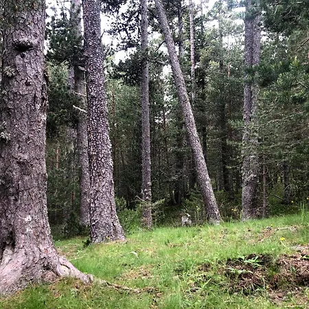 Lirios, Pirineo Aragones Semesterbostad